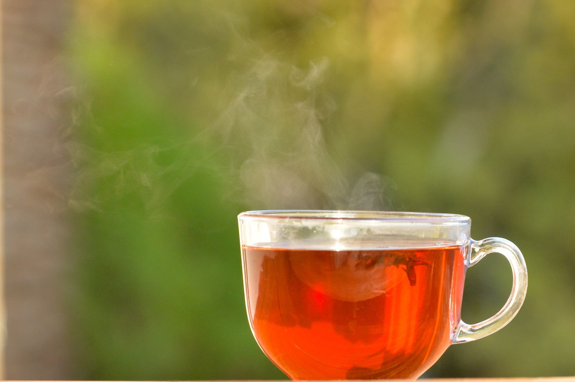 A steaming cup of hot tea in a clear glass mug set against a blurred natural background
